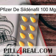 Pfizer De Sildénafil 100 Mg cialis1